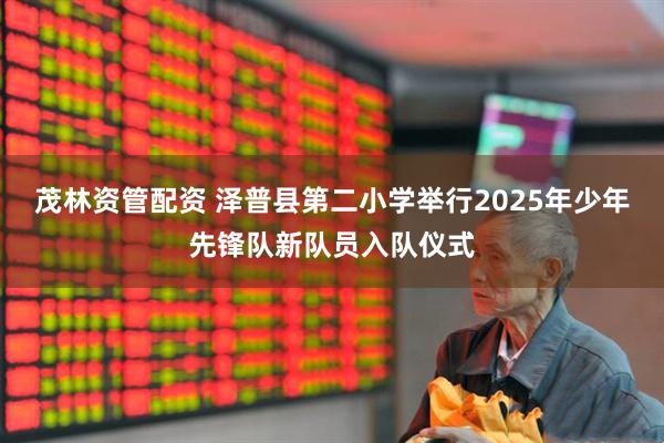 茂林资管配资 泽普县第二小学举行2025年少年先锋队新队员入队仪式
