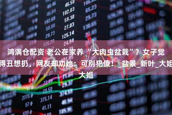 鸿满仓配资 老公在家养 “大肉虫盆栽”？女子觉得丑想扔，网友却劝她：可别犯傻！_盆景_新叶_大姐