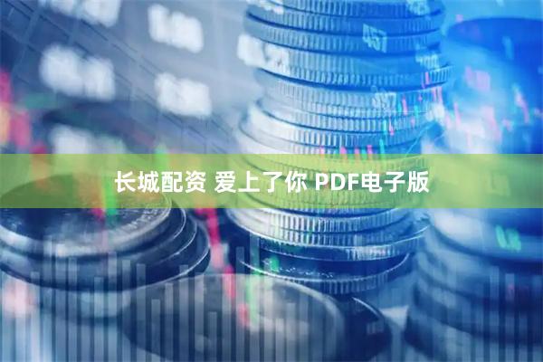 长城配资 爱上了你 PDF电子版